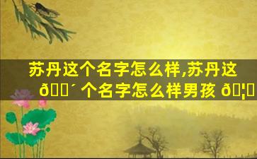 苏丹这个名字怎么样,苏丹这 🐴 个名字怎么样男孩 🦅